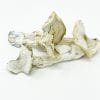 Albino A+ Mushrooms – potent leucistic psilocybin strain sold by PsychedelicHub.shop