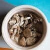 Psilocybe stuntzii mushroom – gentle Pacific Northwest psilocybin species