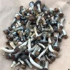 Psilocybe Baeocystis mushroom – rare psychedelic strain with mild potency and emotional depth