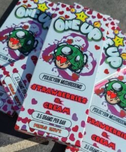 One up Mushroom Strawberries and Cream - Magic Psychedelics