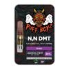 Puff Boyz -NN DMT .5ML(400MG) Cartridge – Grape - Magic Psychedelics