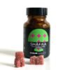 Shafaa Evolve Magic Mushroom Microdosing Gummy Bears - Magic Psychedelics
